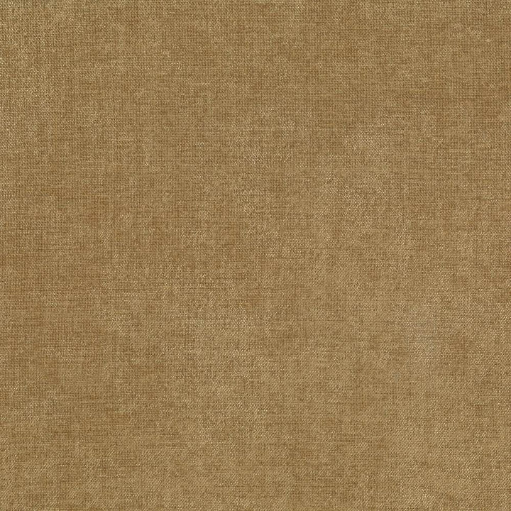Vestige Latte  by Kasmir Designer Fabric 5051 100% Polyester
 CHINA 30,000 Wyzenbeek Double Rubs Horizontal: N/A and Vertical: N/A 55  - Swanky Fabrics -