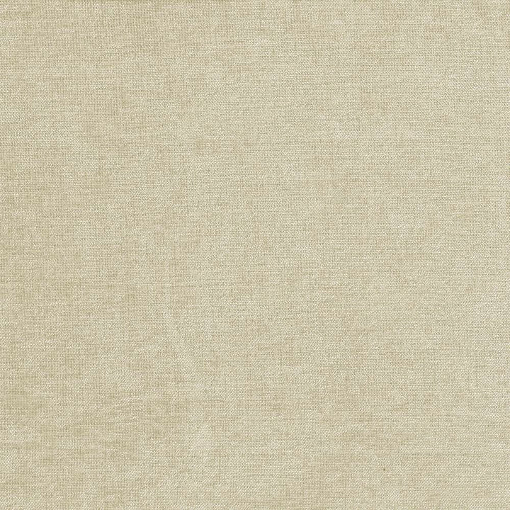 Vestige Platinum by Kasmir Designer Fabric 5051 100% Polyester
 CHINA 30,000 Wyzenbeek Double Rubs </p><p>Repeat: Horizontal: N/A and Vertical: N/A 55 - Swanky Fabrics -