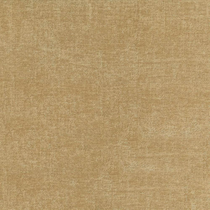 Vestige Sandstone  by Kasmir Designer Fabric 5051 100% Polyester
 CHINA 30,000 Wyzenbeek Double Rubs Horizontal: N/A and Vertical: N/A 55  - Swanky Fabrics -