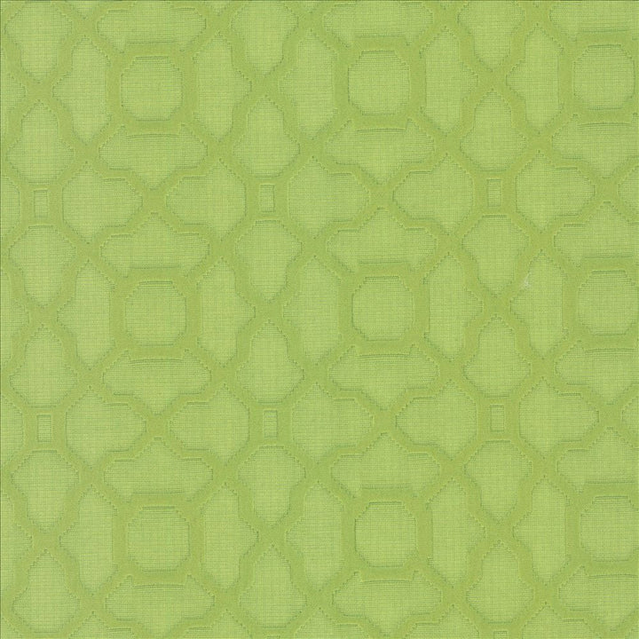 Vichy Lime by Kasmir Designer Fabric 5099 61% Cotton
39% Polyester
 CHINA </p><p>Repeat: Horizontal: 3 4/8 inches and Vertical: 3 4/8 inches 56 - Swanky Fabrics -