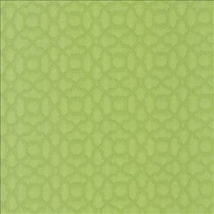 Vichy Lime by Kasmir Designer Fabric