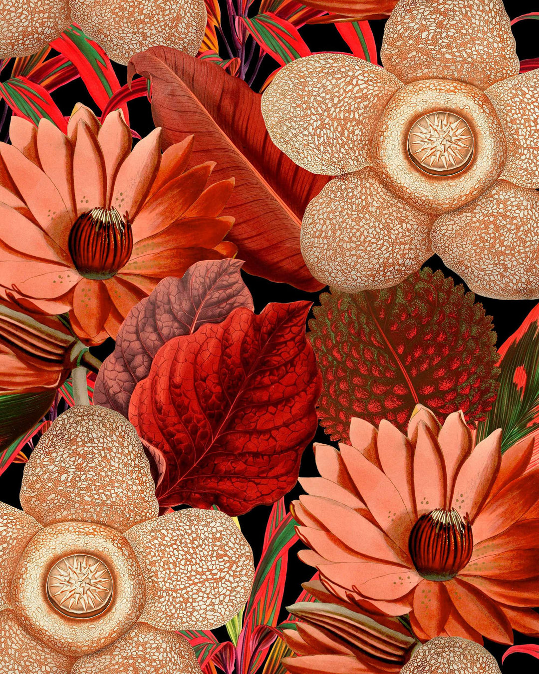Water Lilies wallpaper by Mind the Gap (WP20316), swatch
