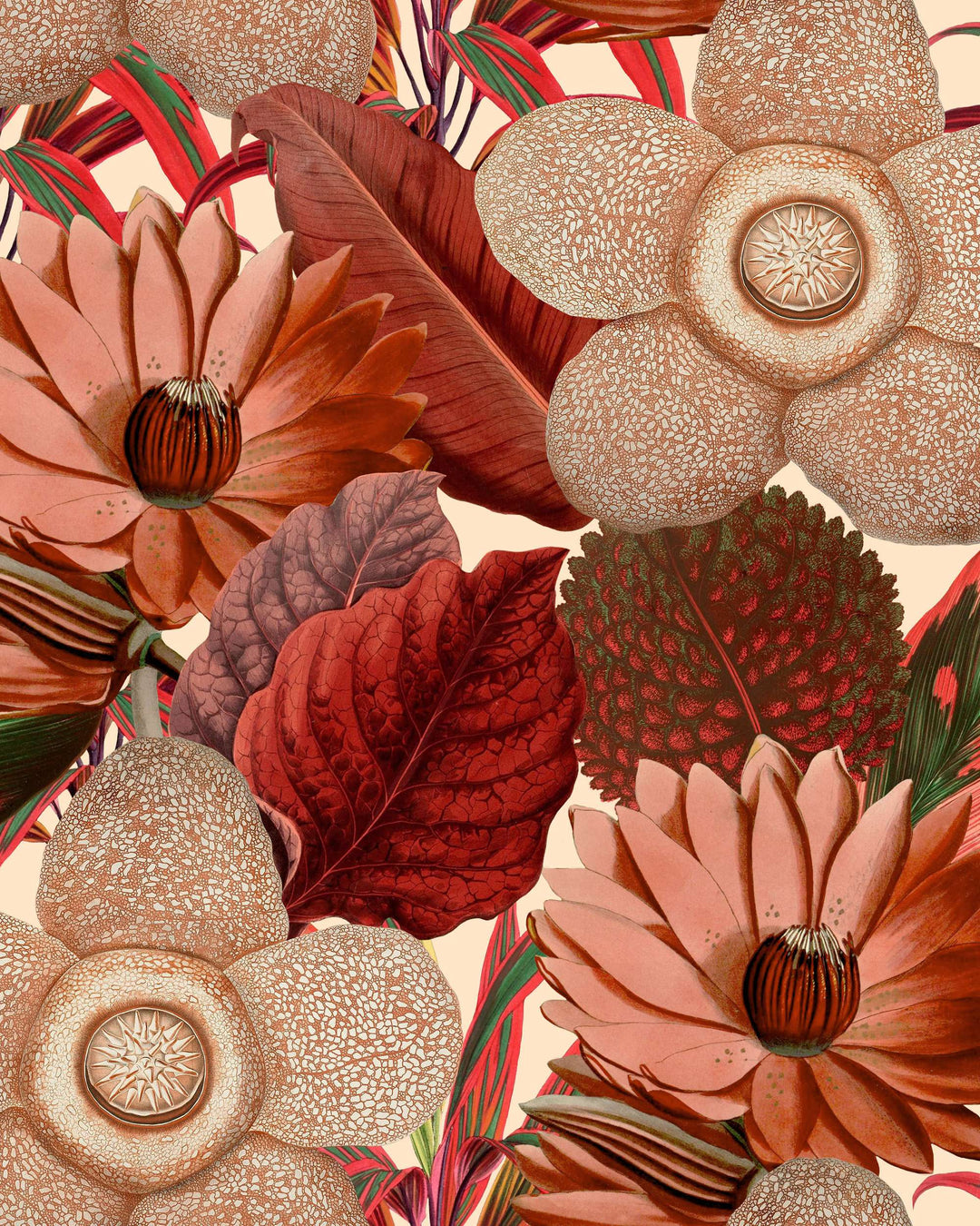 Water Lilies Taupe wallpaper by Mind the Gap (WP20317), swatch