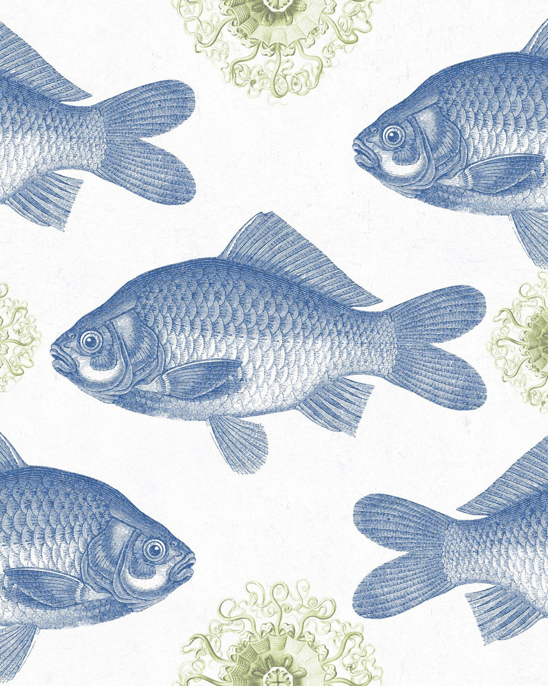 Fish Blue wallpaper by Mind the Gap (WP20009), swatch