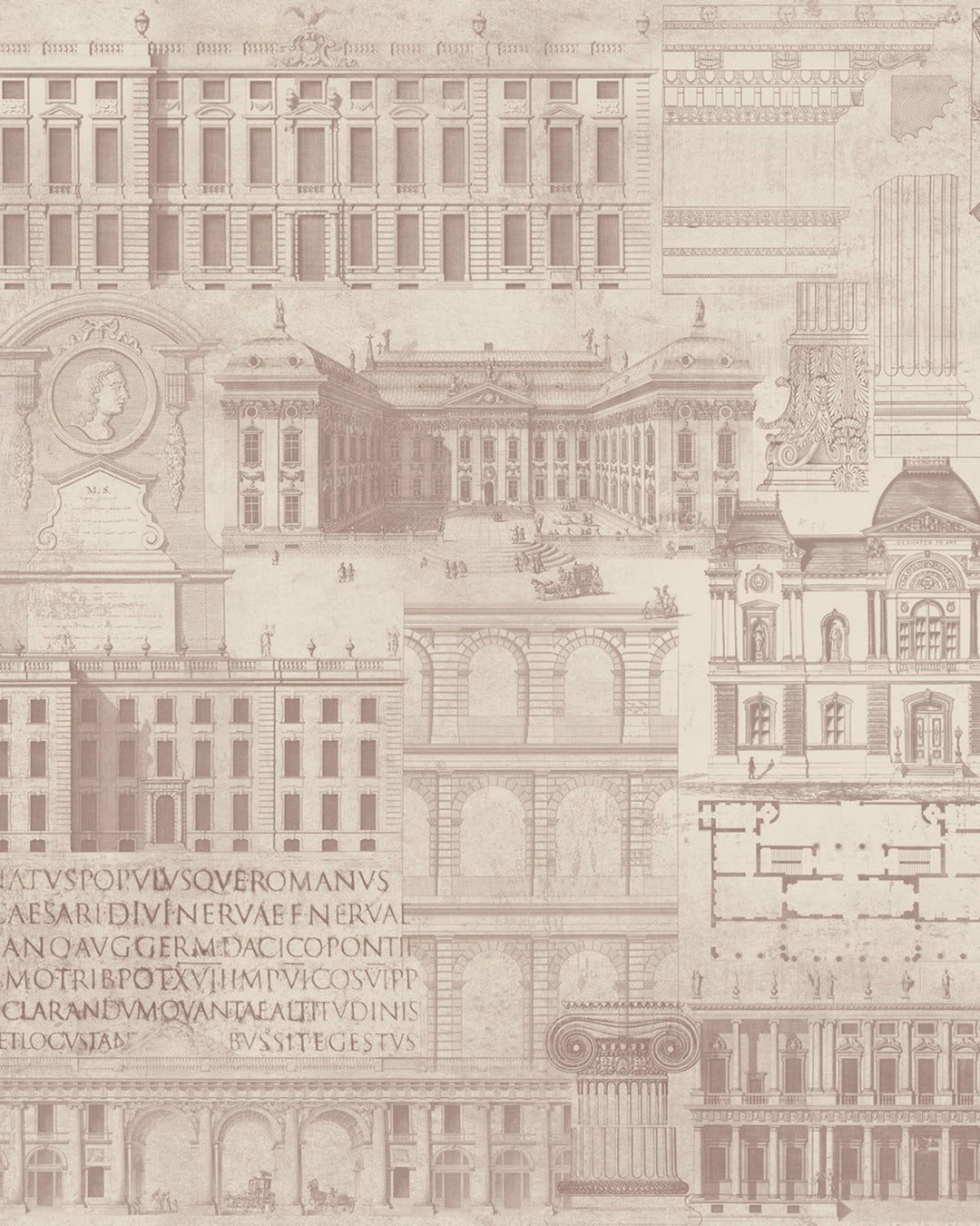 Vitruvius Taupe Premium wallpaper by Mind the Gap (WP20028), swatch