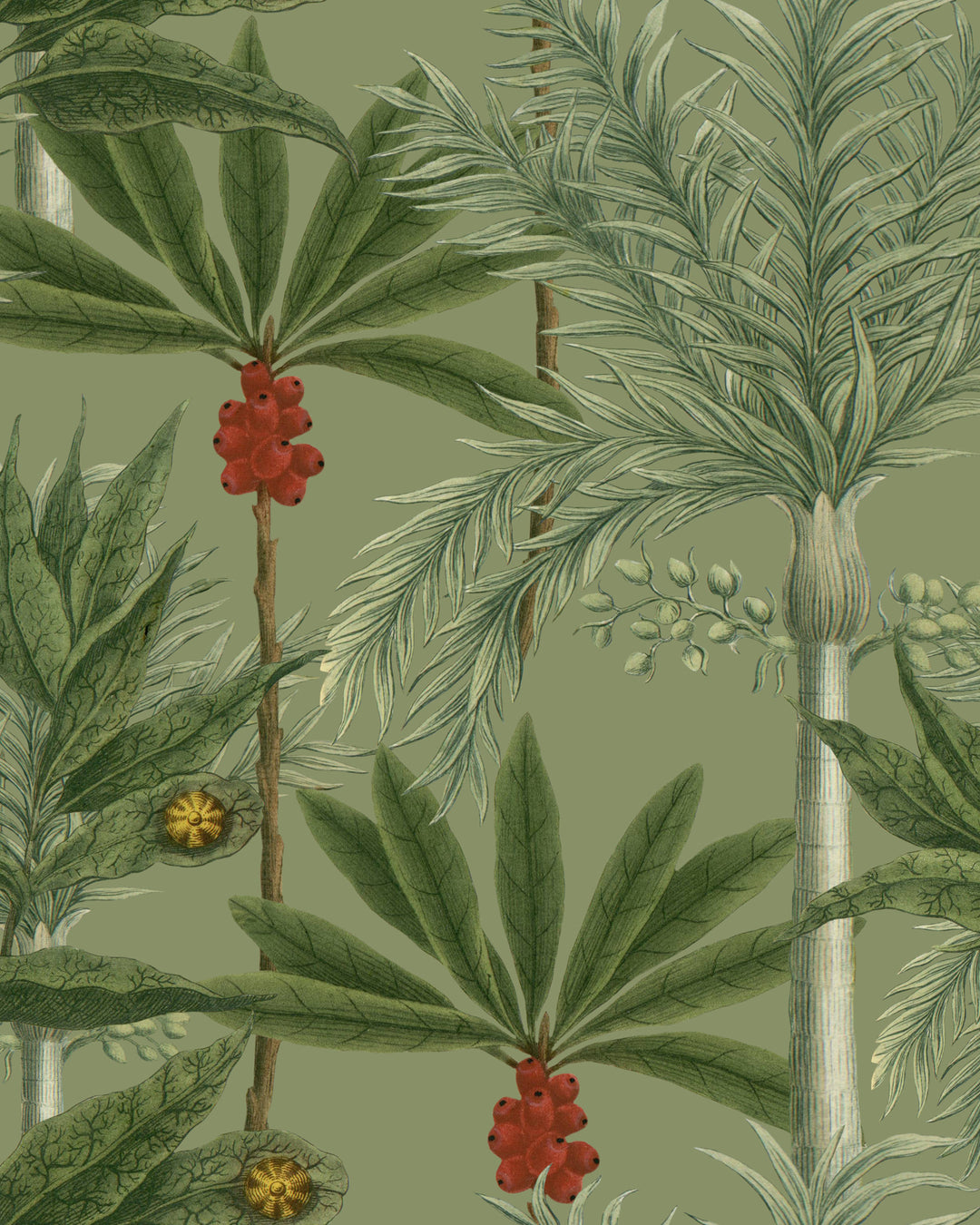 Madagascar wallpaper by Mind the Gap (WP20520), swatch