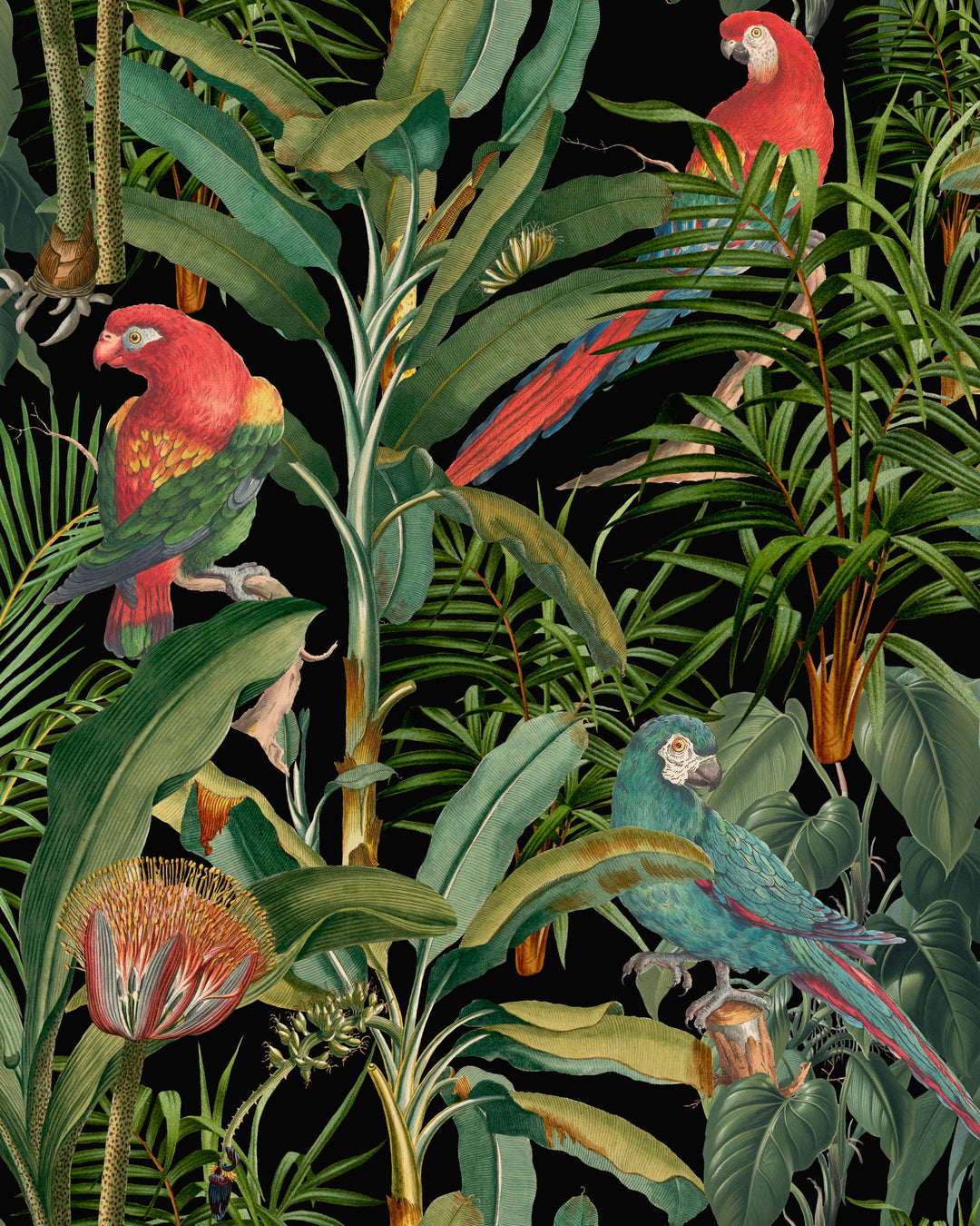 Parrots Of Brasil Anthracite wallpaper by Mind the Gap (WP20522), swatch