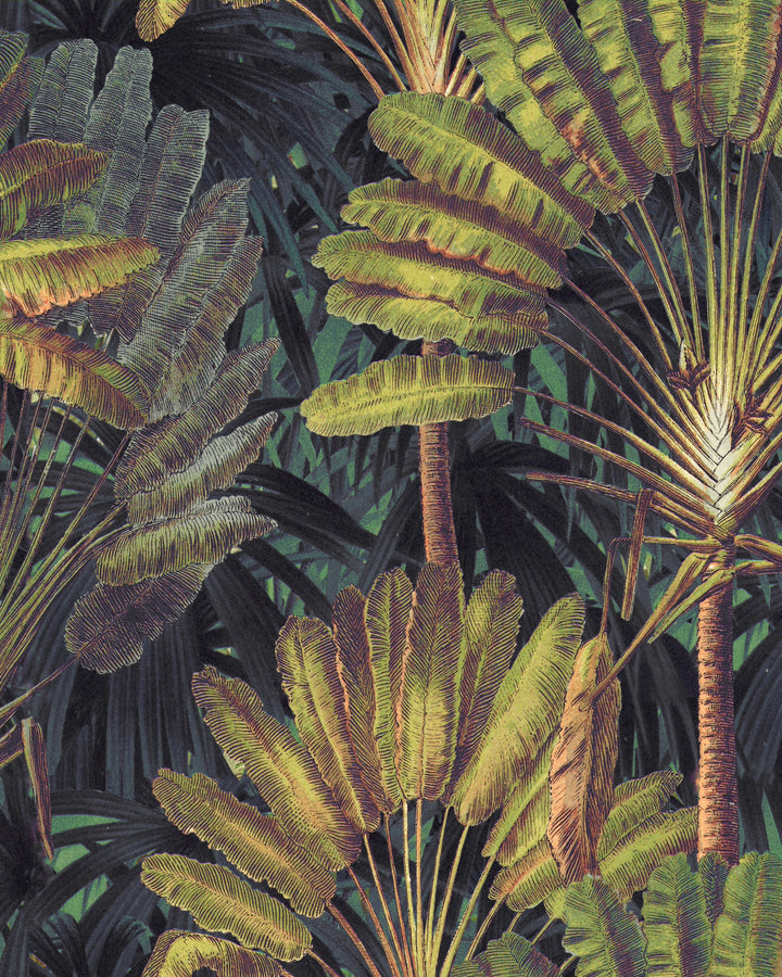 Traveller's Palm Sunset wallpaper by Mind the Gap (WP20526), swatch