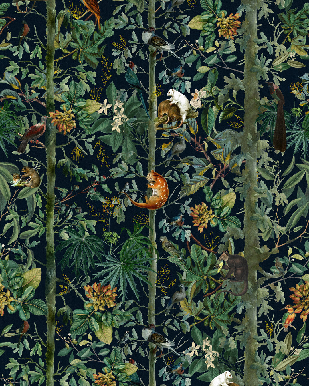Wildlife Of Papua Dark wallpaper by Mind the Gap (WP20527), swatch