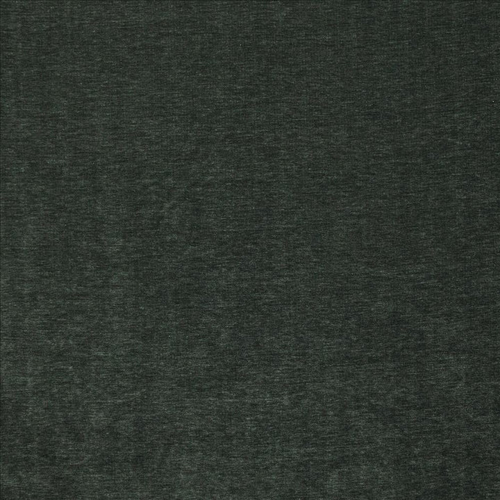 Watson Quartz by Kasmir Designer Fabric 1466 100% Polyester
 INDIA 30,000 Wyzenbeek Double Rubs </p><p>Repeat: Horizontal: N/A and Vertical: N/A 54 - Swanky Fabrics -