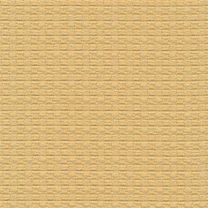 Wicker Custard  by Kasmir Designer Fabric 1409 100% Cotton
 ISRAEL 15,000 Wyzenbeek Double Rubs Horizontal: 3/8 inches and Vertical: 3/8 inches 54  - Swanky Fabrics -