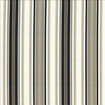 Windsor Stripe Pewter by Kasmir Designer Fabric 1421 50% Cotton 50% Polyester INDIA 50,000 Wyzenbeek Double Rubs H: 14 inches, V: N/A 56 - Swanky Fabrics - Kasmir