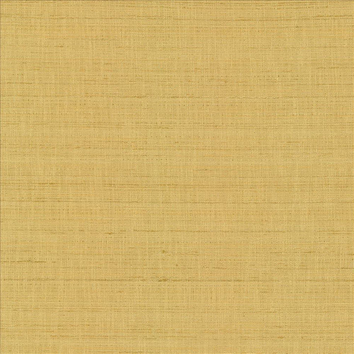 With A View Camel by Kasmir Designer Fabric 5170 63% Polyester
37% Cotton
 INDIA 50,000 Wyzenbeek Double Rubs </p><p>Repeat: Horizontal: N/A and Vertical: N/A 54 - Swanky Fabrics -