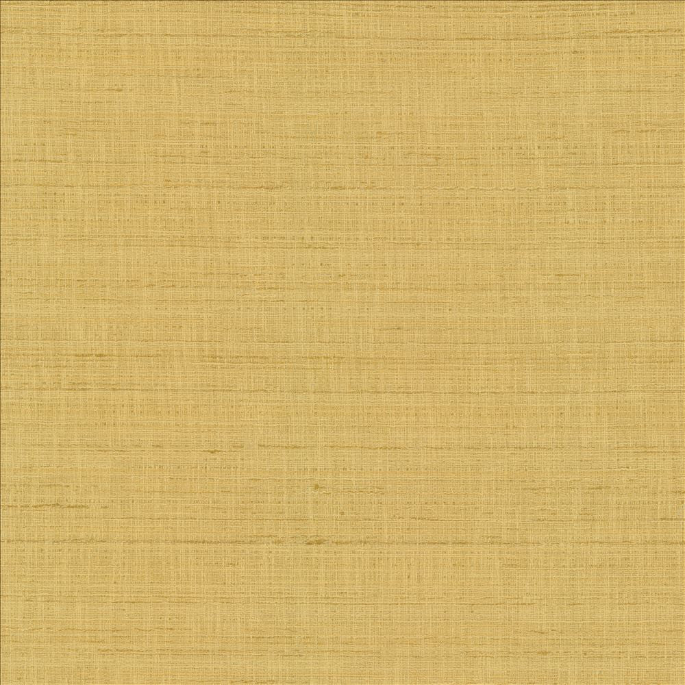 With A View Camel  by Kasmir Designer Fabric 5170 63% Polyester
37% Cotton
 INDIA 50,000 Wyzenbeek Double Rubs Horizontal: N/A and Vertical: N/A 54  - Swanky Fabrics -