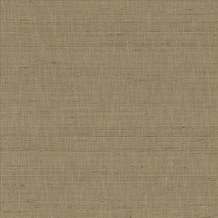 With A View Concrete by Kasmir Designer Fabric 5170 63% Polyester
37% Cotton
 INDIA 50,000 Wyzenbeek Double Rubs </p><p>Repeat: Horizontal: N/A and Vertical: N/A 54 - Swanky Fabrics -