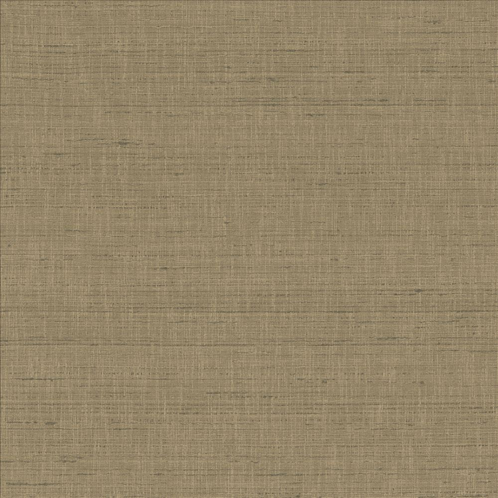 With A View Concrete  by Kasmir Designer Fabric 5170 63% Polyester
37% Cotton
 INDIA 50,000 Wyzenbeek Double Rubs Horizontal: N/A and Vertical: N/A 54  - Swanky Fabrics -