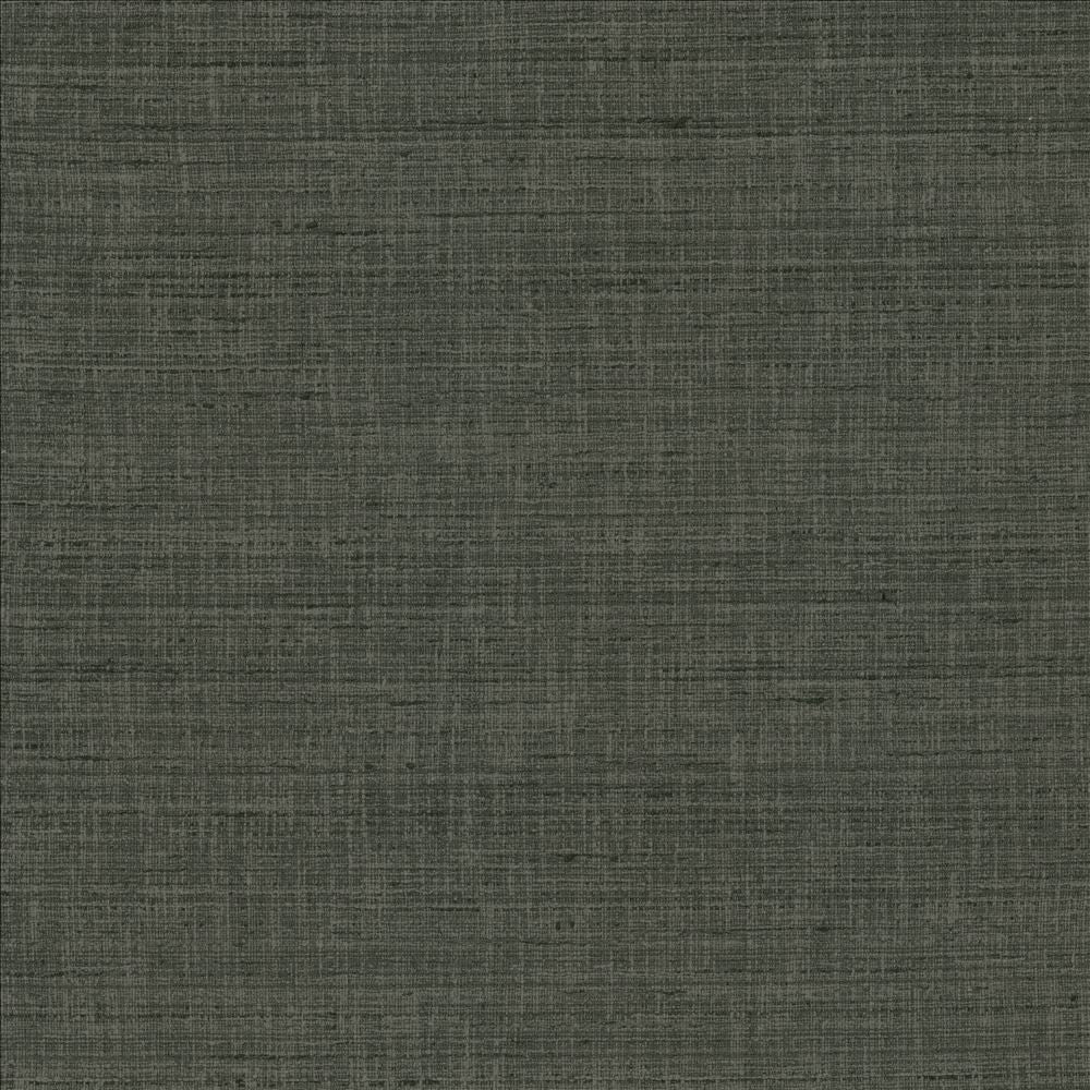 With A View Stone  by Kasmir Designer Fabric 5170 63% Polyester
37% Cotton
 INDIA 50,000 Wyzenbeek Double Rubs Horizontal: N/A and Vertical: N/A 54  - Swanky Fabrics -