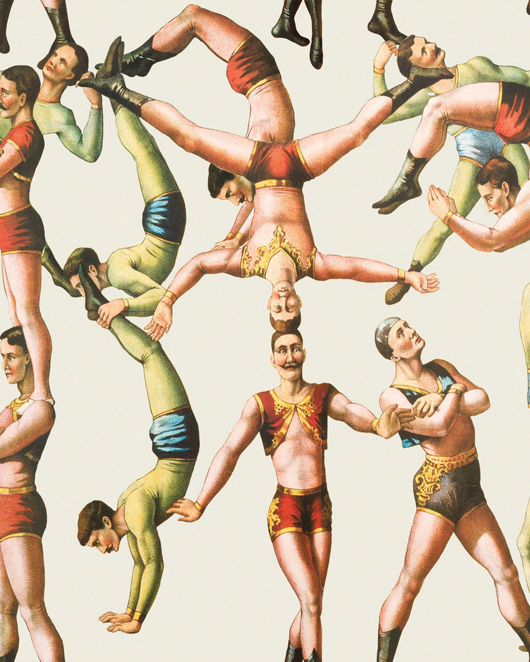 The Acrobats wallpaper by Mind the Gap (WP20005), swatch