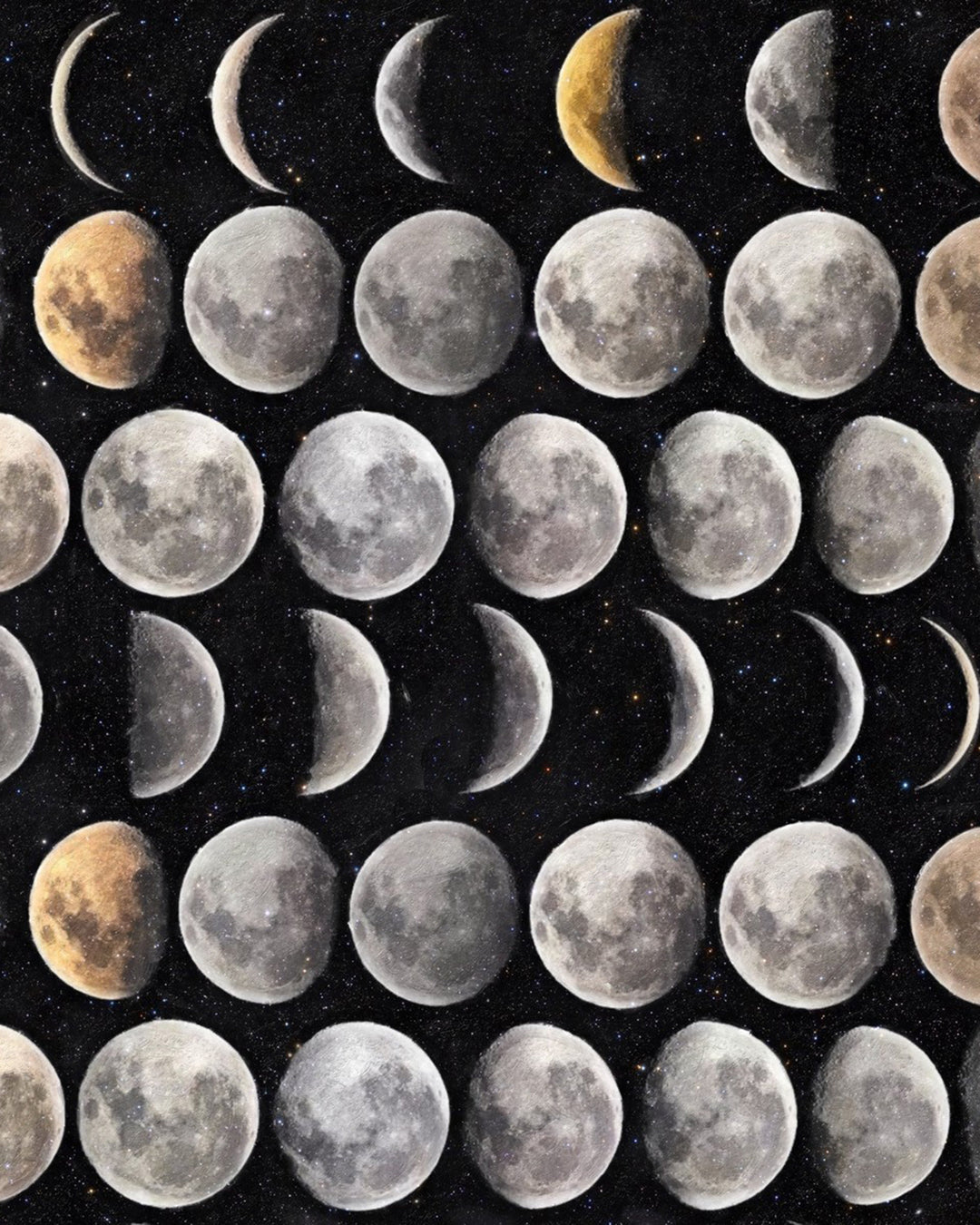 Moon Phases Premium wallpaper by Mind the Gap (WP20066), swatch