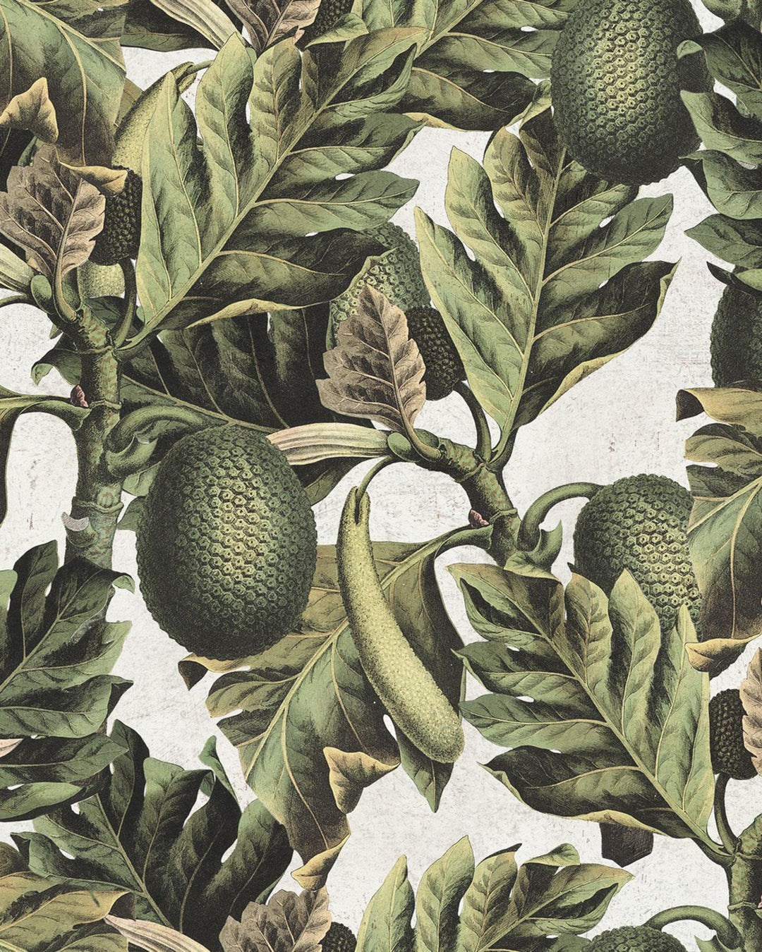 Exotic Fruit I wallpaper by Mind the Gap (WP20097), swatch