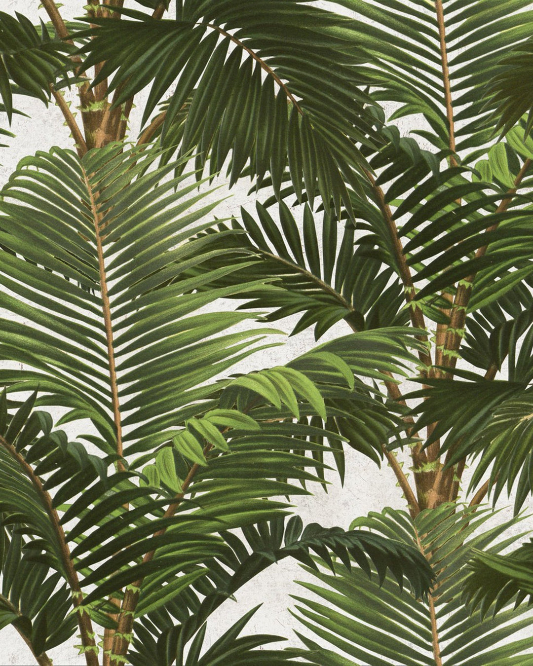 Jardin Tropical Premium wallpaper by Mind the Gap (WP20104), swatch