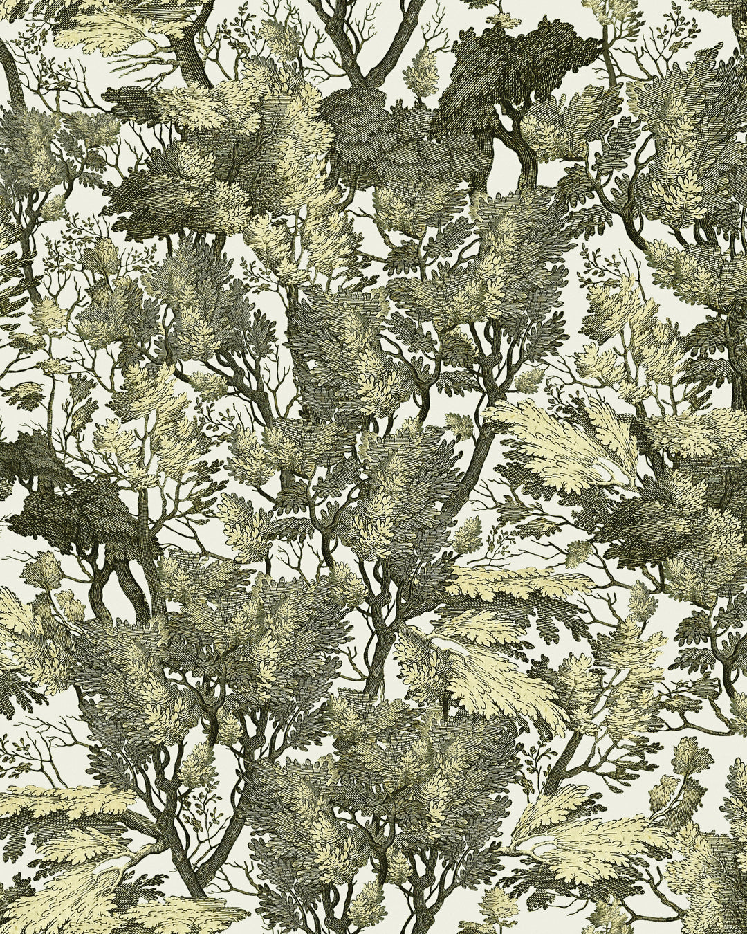 Tree Foliage wallpaper by Mind the Gap (WP20481), swatch