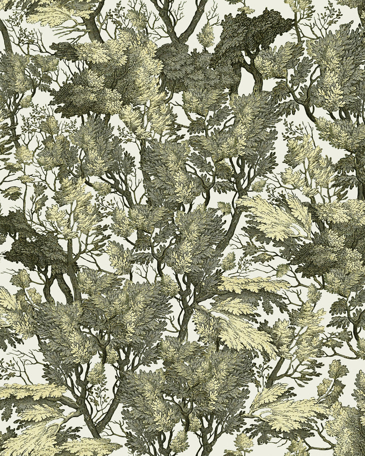 Tree Foliage wallpaper by Mind the Gap (WP20481), swatch
