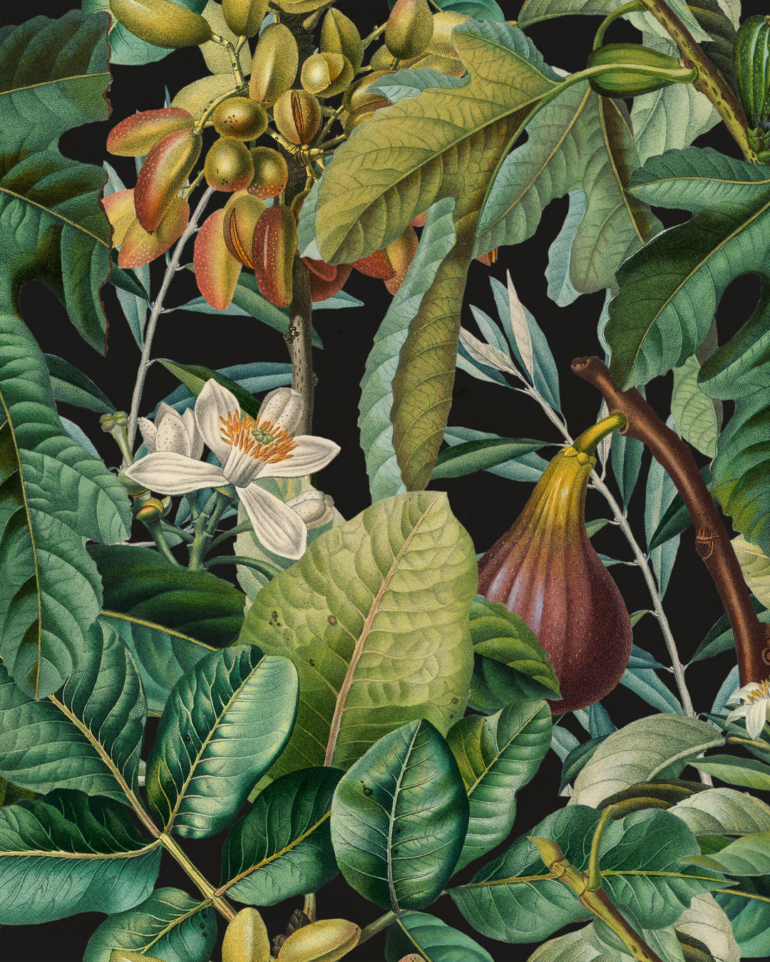 Figs And Dates wallpaper by Mind the Gap (WP20517), swatch
