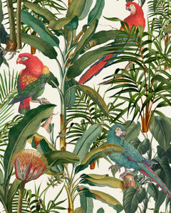 Mind The Gap Wallpaper PARROTS OF BRASIL Wallpaper (WP20521)