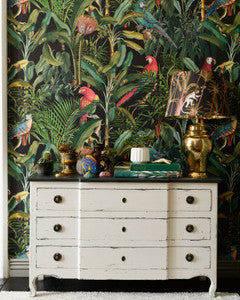 Mind The Gap Wallpaper PARROTS OF BRASIL Anthracite Wallpaper (WP20522)