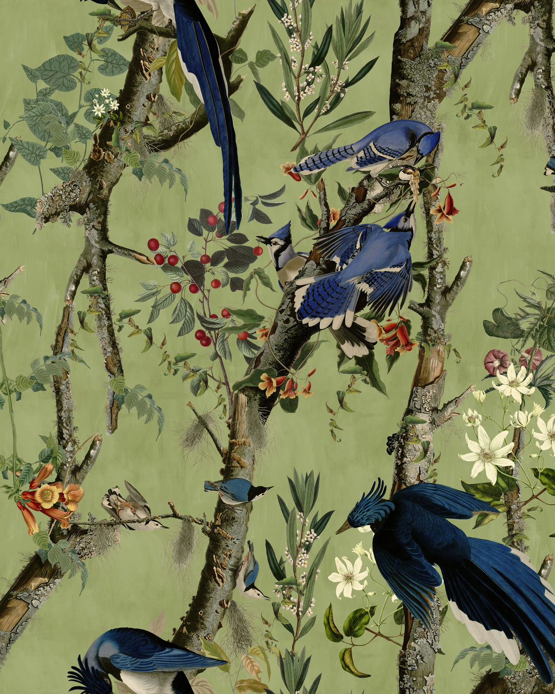 Birds Of Danube wallpaper by Mind the Gap (WP20715), swatch