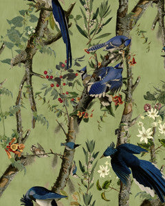 Mind The Gap Wallpaper BIRDS OF DANUBE Wallpaper (WP20715)