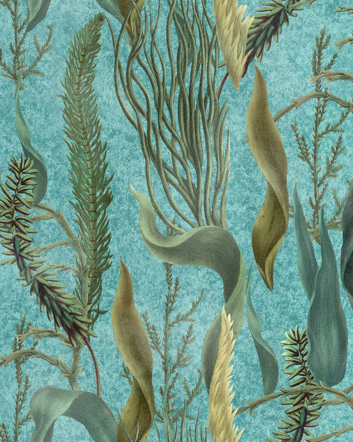 Aquatic Plants Aquamarine Wallpaper by Mind the Gap Designer Wallpaper THE WETLANDS Non-woven Made in Europe Paste the wall 1 roll x 20.47 x 9.8 yards - Swanky Fabrics -