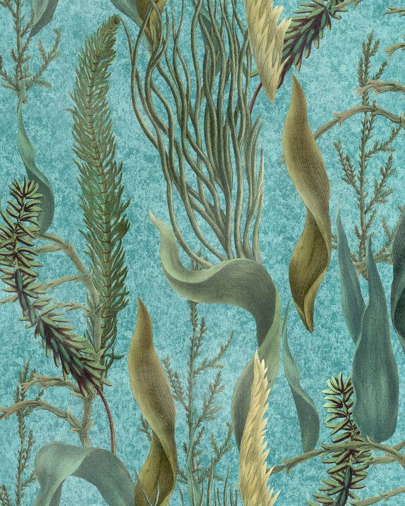 Mind The Gap Wallpaper AQUATIC PLANTS Aquamarine Wallpaper (WP20716) | WP20716 | THE WETLANDS | 1 roll x 20.47 x 354.33 in | 0.52m / 20.5in | 9m / 354in | 4.68mp | 52cm / 20.5in | Brown, Cream, Green, Turquoise | Non-woven | Paste the wall | 1-roll in a box | Fabric Carolina | https://www.fabriccarolina.com/