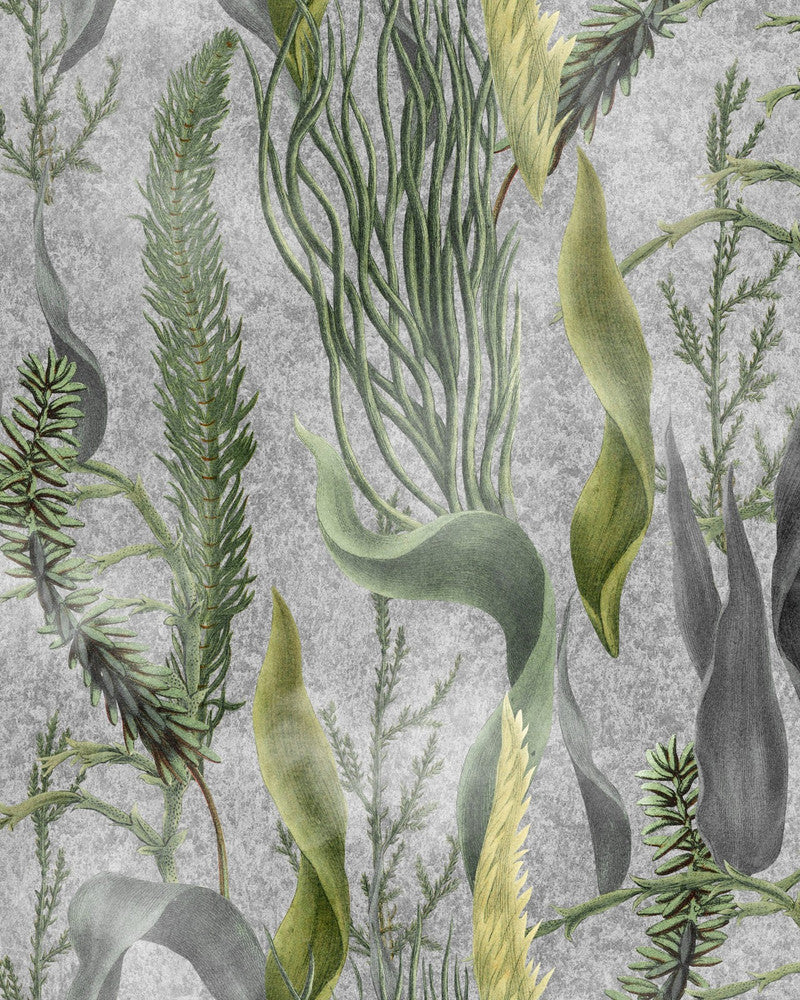 Aquatic Plants Grey Wallpaper by Mind the Gap Designer Wallpaper THE WETLANDS Non-woven Made in Europe Paste the wall 1 roll x 20.47 x 9.8 yards - Swanky Fabrics -