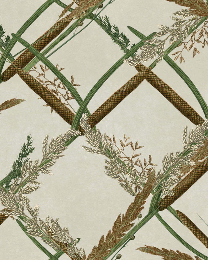 Ornamental Reed Wallpaper by Mind the Gap Designer Wallpaper THE WETLANDS Non-woven Made in Europe Paste the wall 1 roll x 20.5x10.9 yards - Swanky Fabrics -