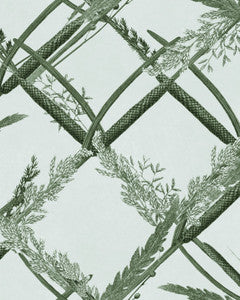 Mind The Gap Wallpaper ORNAMENTAL REED Greenlake Wallpaper (WP30162)
