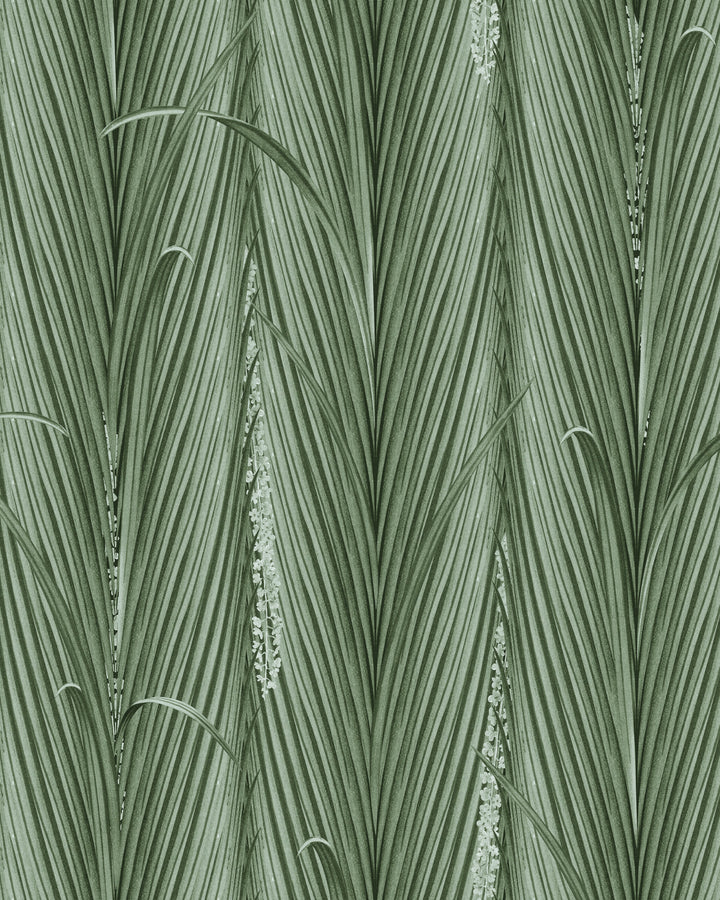 DANUBE FOLIAGE Absinthe Wallpaper (WP30216) by Mind The Gap | WP30216 | THE WETLANDS | 1 roll x 52 x 1000 cm / 20.5x393.7 in | 0.52m / 20.5in | 10m / 393.7in | 5.20sqm / 55.9sq ft | 60cm / 23.6in | White, Green | Non-woven Satin | Paste the wall | 1 roll in a box | Fabric Carolina | https://www.fabriccarolina.com/