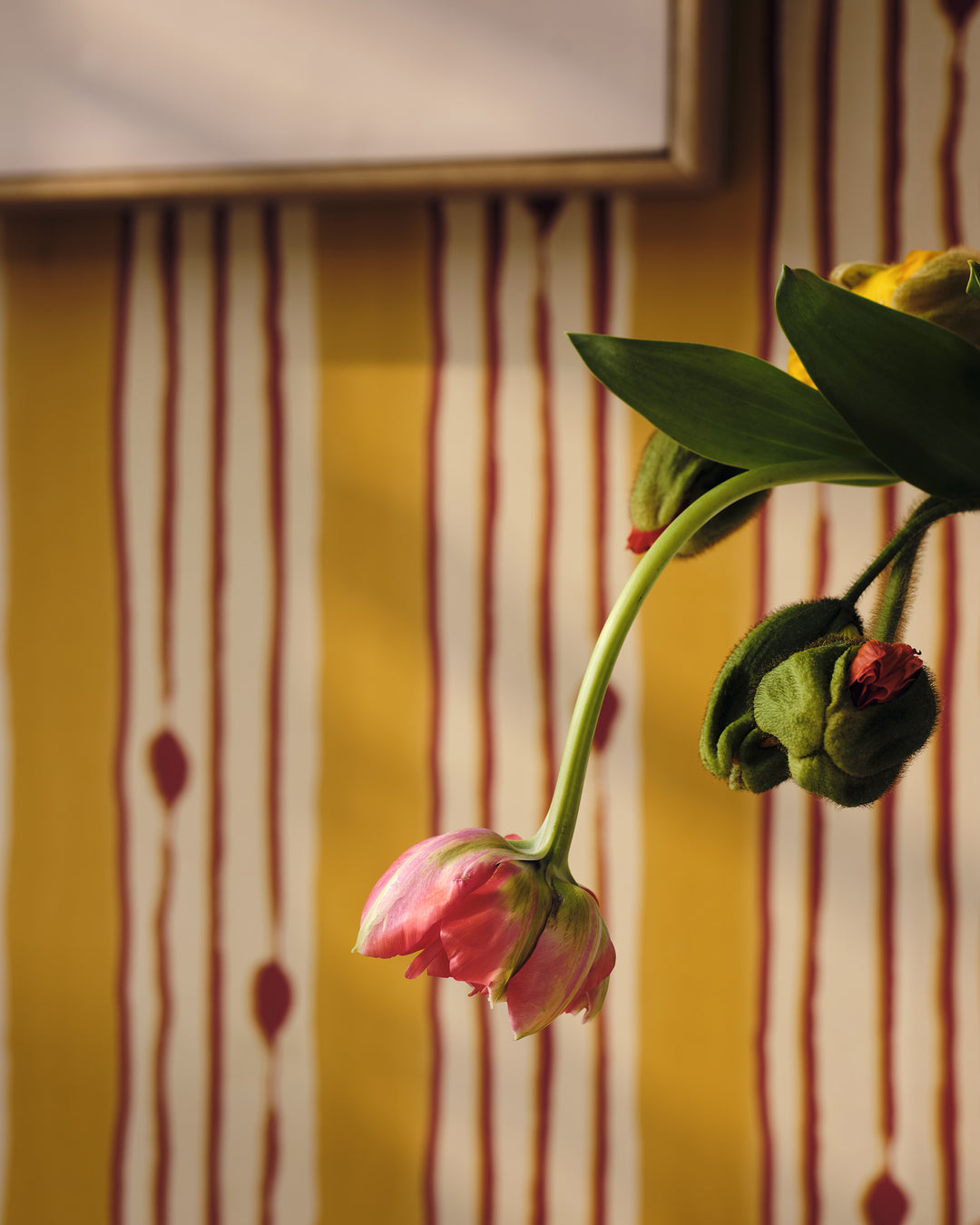 MINUANO Lemon Wallpaper (WP30238) by Mind The Gap | WP30238 | JAZZ LIVE | 1 roll x 52 x 1000 cm / 20.5 x 393.7in | 0.52m / 20.5in | 1000 cm / 393.7in | 5.20sqm / 55.9sq ft | 100cm / 39.3in | Beige, Red, Lemon | Non-woven Satin | Paste the wall | 1 roll in a box | Fabric Carolina | https://www.fabriccarolina.com/