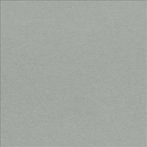 Wrinkle In Time Haze by Kasmir Designer Fabric