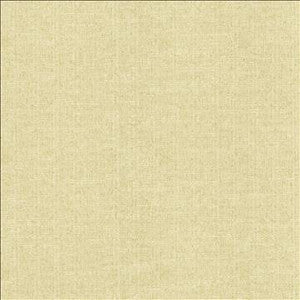 Zenith Ivory by Kasmir Designer Fabric