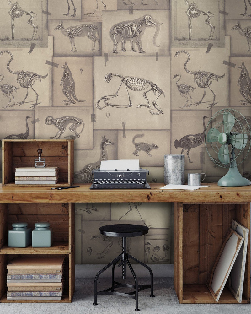 Zooarchaeology Wallpaper by Mind the Gap Designer Wallpaper PREMIUM DESIGNER WALLPAPER COLLECTION Non-woven Made in Europe Paste the wall 3 rolls x 20.5 x 3.25 yards - Swanky Fabrics -